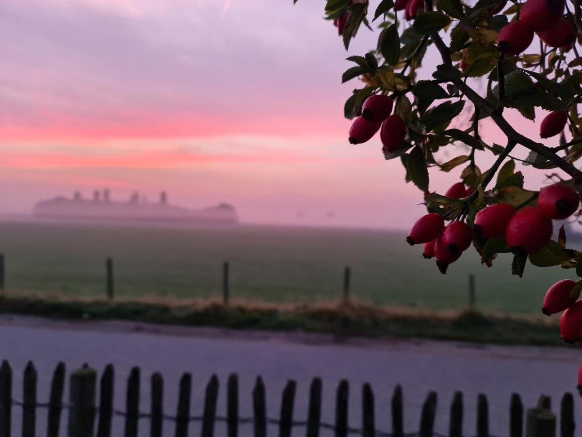 Logement Hellevoetsluis Exteriér fotografie