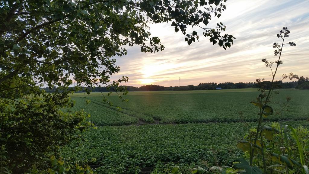 Logement Hellevoetsluis Exteriér fotografie
