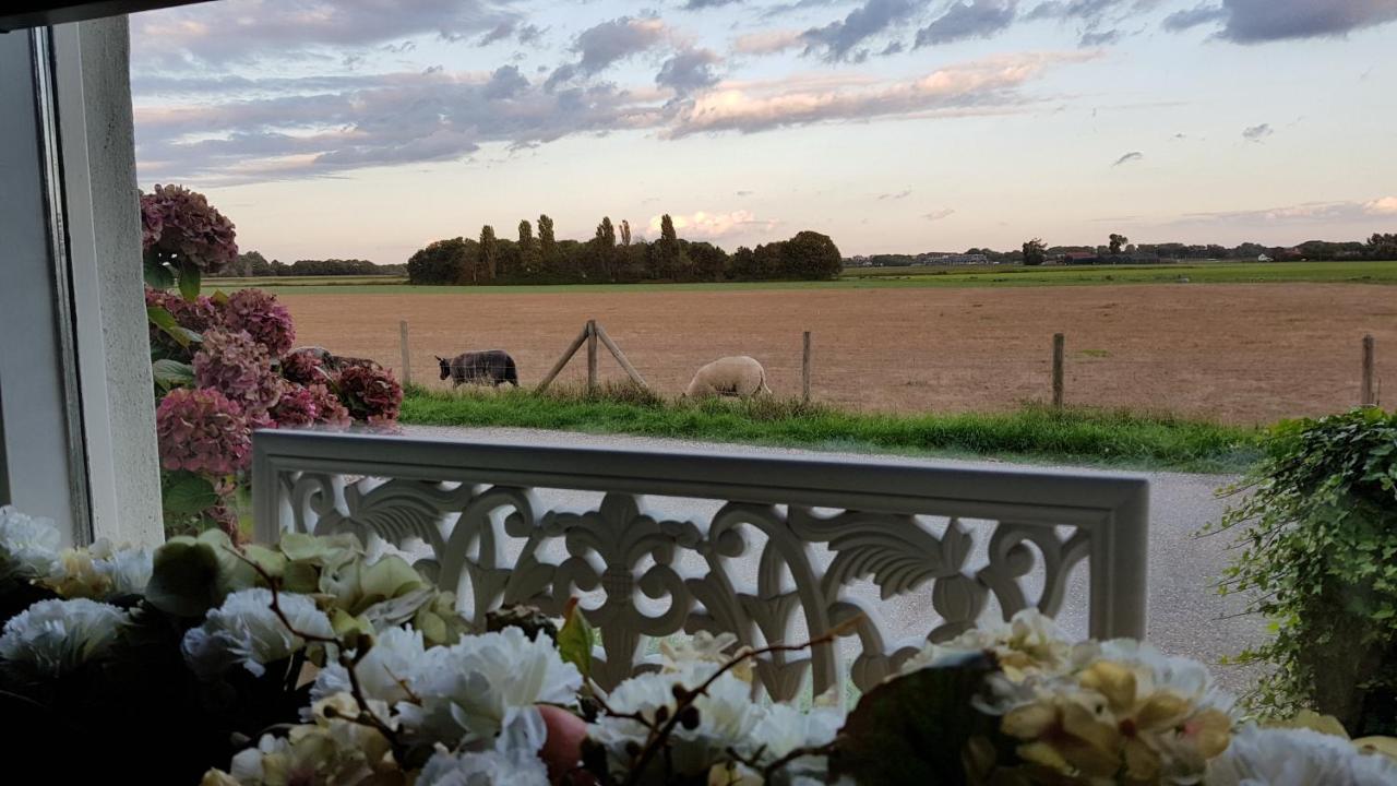 Logement Hellevoetsluis Exteriér fotografie